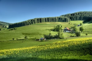 Jak testować i kalibrować prasę krawędziową